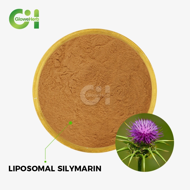 Liposomal Silymarin